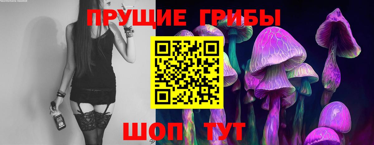 Псилоцибиновые грибы прущие грибы Печора